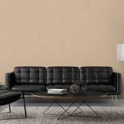 9204-22/Вспышка / Flash/EURODECOR/Россия/(1,06*10м обои винил, флизелин)