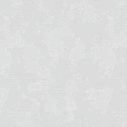 60731-06 Шелк / ERISMANN / обои винил флизелин