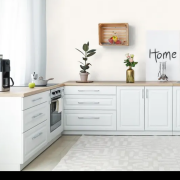 LL-03-10-0 Jack n Rose / Grandeco / Бельгия / (0,53*10м обои винил, флизелин)