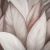 TC72480-82 ТРЕНД Природа / TREND Nature / ПАЛИТРА / обои винил флизелин
